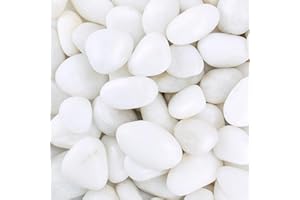 GreenVibe Pebbles for Indoor Plants, 2lbs White Pebbles 1-2 Inch Decorative River Rocks for Planters, High Polished Stones for Vase Filler Fish Tank Landscaping Garden