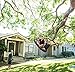 Giant Tree Swing + Easy Install Hanging Strap Set + Adjustable Ropes + Spinner Kit + Heavy Duty Weatherproof Spider Web Seat - Fully Assembled Steel Frame Holds 600 lbs Kids & Adults