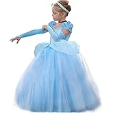 CQDY Cinderella Dress Princess Costume Halloween Party Dress up Blue