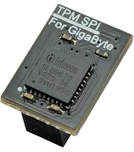 Amazon.com: TPM2.0 Security Module 12Pin -SPI M S I（12-1