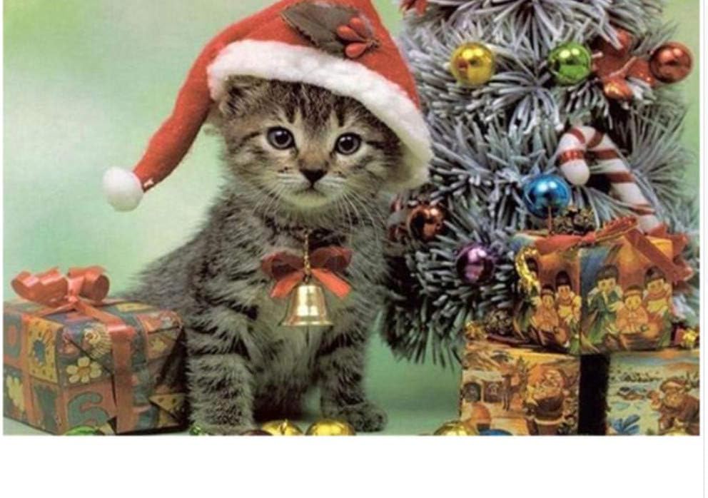 cat in the hat name puzzle