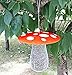 The Best Wild Bird Feeder to Attract More Wild Birds, Fill it with Sunflower Black Oil Seeds, Peanuts and Suet Pellets Easy to Install, Clean & Fill