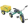 All Terrain Tricycle with Wagon (Green), CART-042 - Sold by Ucostore Only