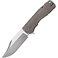 Petrified fish PFP03 Victor,3.58" K110 Satin Blade,140g Micarta Handel Flipper Liner lock Folding knife (Khaki Satin)