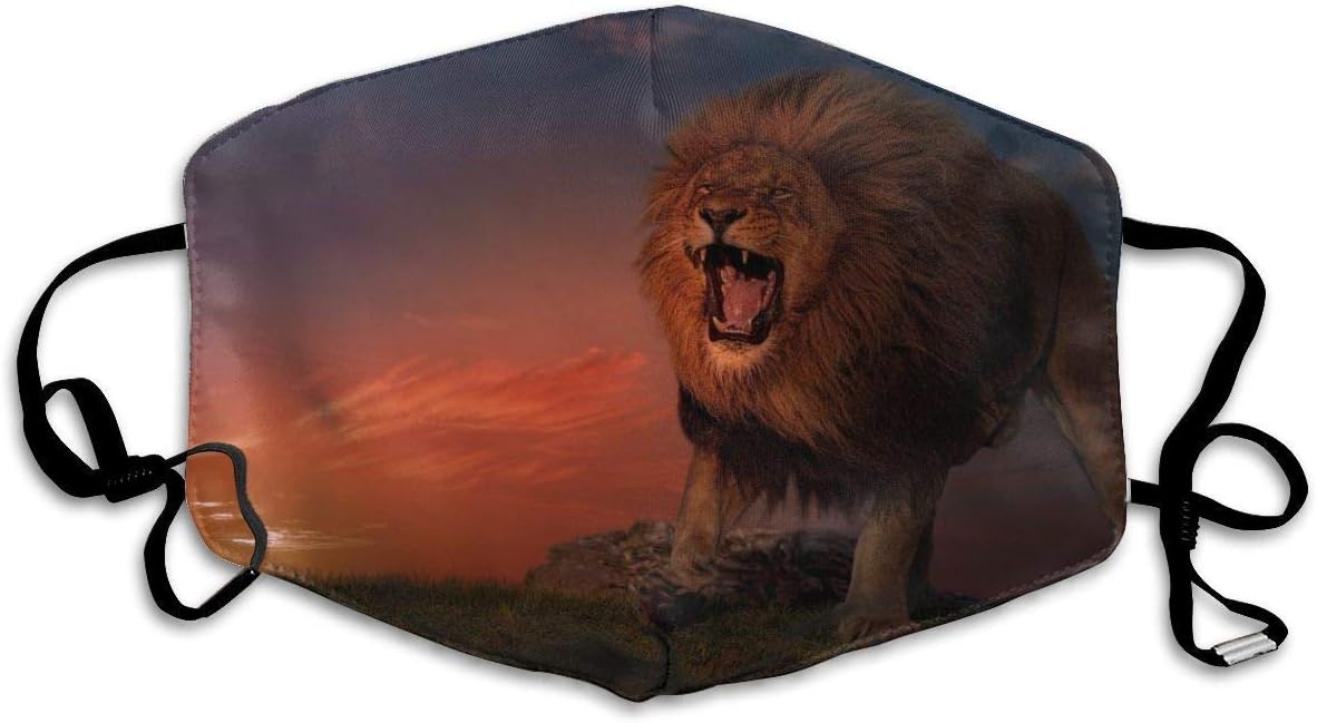 Lions Evening Roar Animals Washable Reusable Safety Mask, Cotton Anti Dust Half Face Mouth Mask For Kids Teens Men Women With Adjustable Ear Loops