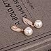 KAVANI Women's Rose Gold Silver Plated Heart-Shaped Leaf Pearl Zircon Jewelry Set Pendant Necklace Earring Set