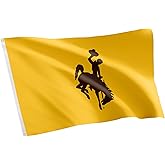 Desert Cactus University of Wyoming UW Flag - 3 x 5 Feet Cowboys Banner, Indoor/Outdoor Durable Fabric, 100% Polyester Design (Style 9)