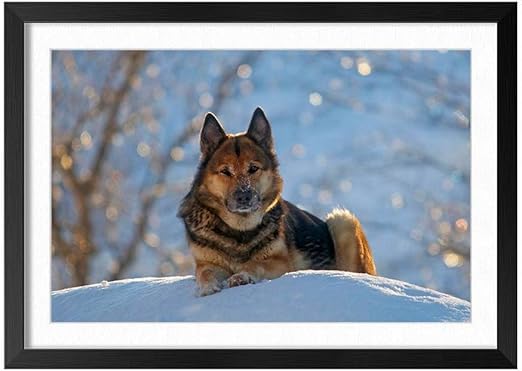 Amazon Com Fhygjd German Shepherd Dog Winter Snow Black Frame Art