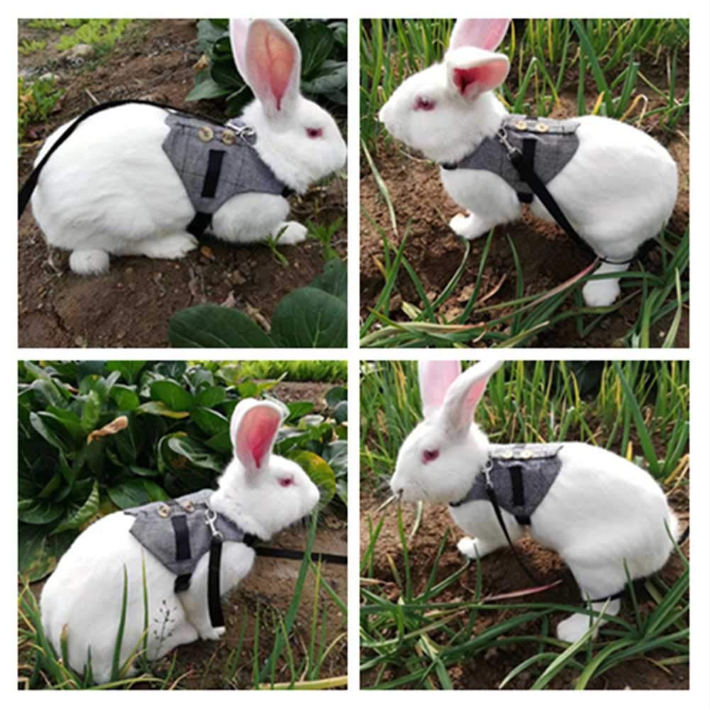 Adjustable Rabbit Harness and Leash Set for Pets - Cute Bunny Vest with Button Decor Plaid Stripe Pattern Formal Suit Style Grey Size L