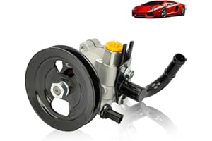 NTLTPYY Power Steering Pump Compatible with Hyundai Accent,Kia Rio Rio5,2006-2011 - l4 1.6L - Replacement OE 96-4052、964052、571001E001,110-RNA-A02 - Includes Pulley & Kit