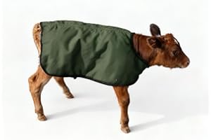 BetterMilk Calf Coat, Warming Blanket for Calves and Livestock, Quilted Cattle Jacket Thats Water Resistant and Protects Animals in Winter and Cold Weather - Small/Jersey, Green