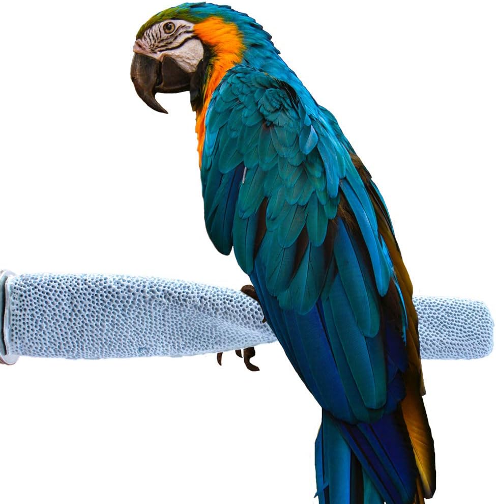 Parrot Perch Stand for Cage | Pet Bird Perch Stand to Trim Nails and Beak | Edible Calcium Carbide with Stainless Steel Washers - Safe and Non-Toxic (Pack of 1)