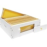 BeeTech 10 Frame Beehive Middle Box Super Bee Box Painted for Sale Bee Hives with Windows