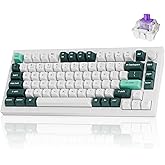Keychron Q1 HE Wireless QMK Custom Mechanical Keyboard with Hall Effect Gateron Double-Rail Magnetic Switch Rapid Trigger, 2.4 GHz Bluetooth RGB Compatible with Mac Windows Linux (Hot-swappable)