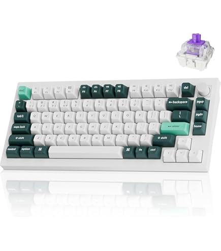 Amazon.com: Realforce R3 TKL Mac Wireless Keyboard (White