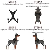 Musonic No Pull Dog Harness Breathable Adjustable with Free Lead Black view 6