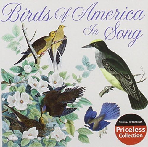 Birds Of America In Song By Various 2010 07 27 By Amazon co uk Music Birds Of America In Song By Various 2010 07 27 By Amazon co uk Music