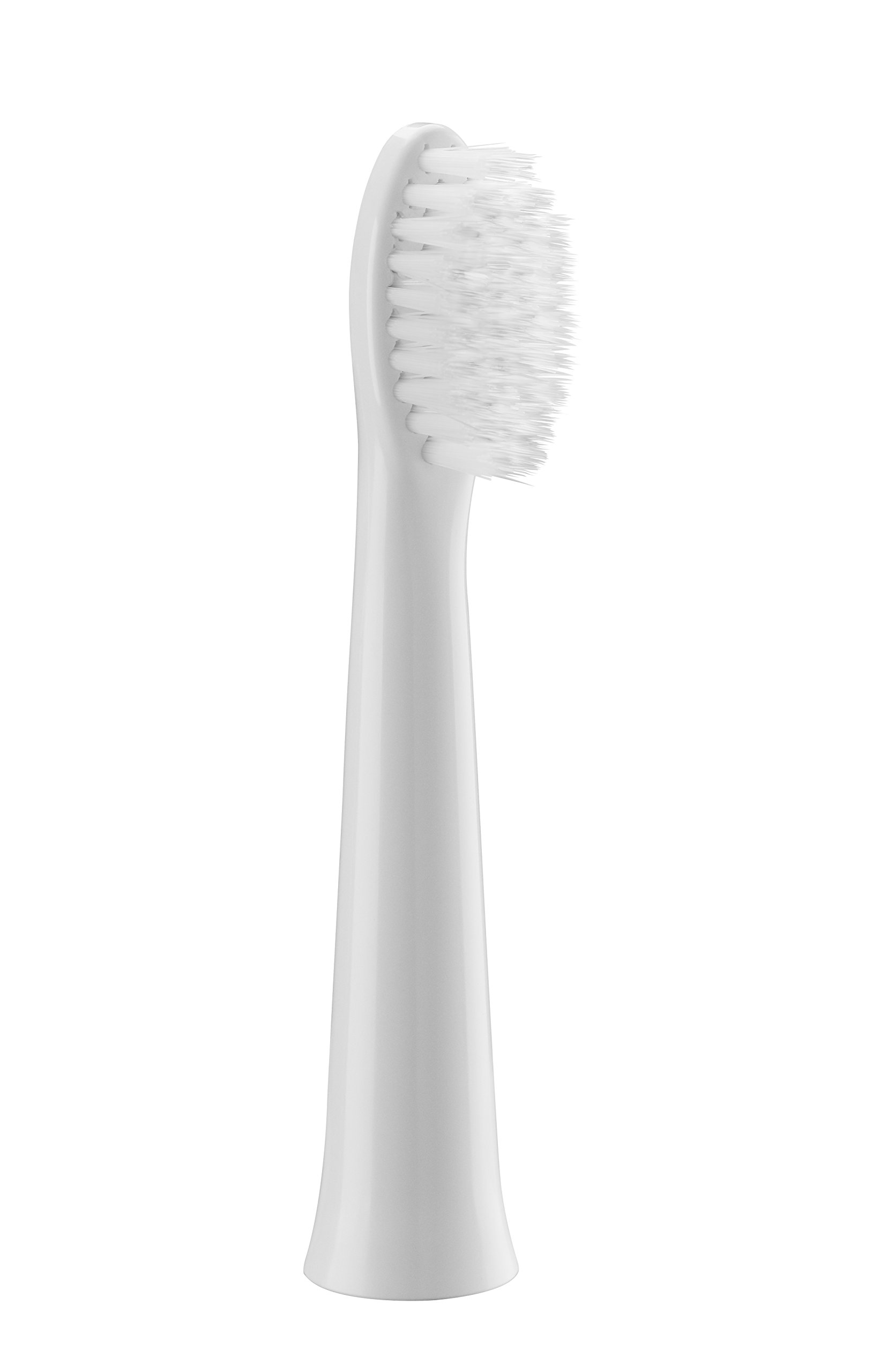 Panasonic WEW0972W503 Extra Fine Toothbrush Heads Compatible with EW-DM81 Series Electric Toothbrush