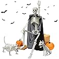 Askill 36" Skeleton Halloween Decorations, 3FT Posable Skeleton with Dog & Cat Skeleton - 5 in 1 Creepy Plastic Movable Joint Skeleton for Halloween Party Yard Decor (36inch)