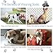 RilexAwhile Dog Socks Boots Shoes for Dogs Cat Socks Non-Slip Soles Adjustable Dog Cat Paw Socks Fit for Indoor Outdoor Use(Medium, Black)