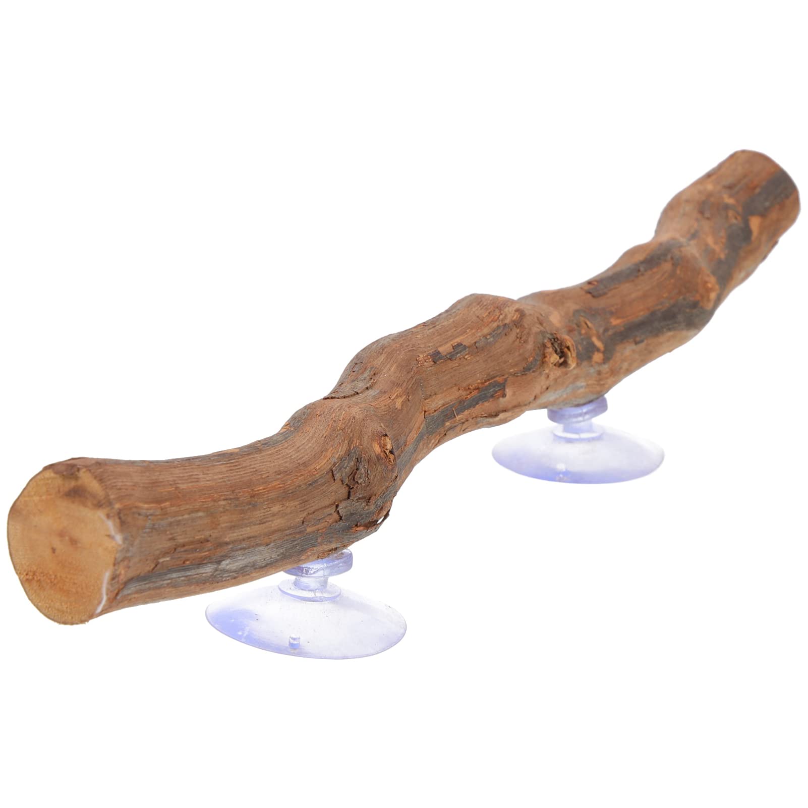 PATKAW Home Decor Reptile Decor Natural Forest Branch Terrarium Climb Corner Tree Branch Background Decoration Plant Decoration with Suction Cup for Snake Lizard and Leopard Gecko Reptile Tank