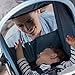 Britax B-Free & B-Safe Ultra Travel System, Frost