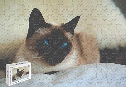 siamese cat jigsaw puzzle
