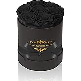 NATROSES 7 Piece Preserved Roses in a Box, Preserved Flowers for Birthday, Flower Gifts for Mothers Day (Black)