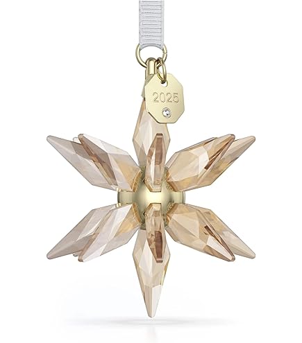Amazon.com: Swarovski SCS 2009 Annual Christmas Ornament : Home
