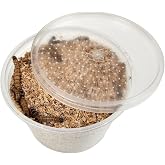 Josh's Frogs Superworms (100 Count)