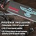 Phoenix 120V Clean Power Supply