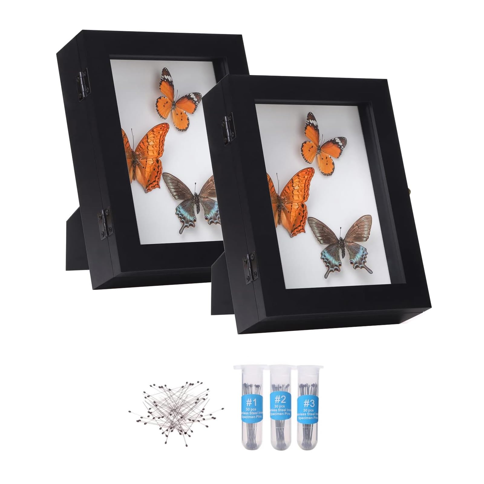 IHEIPYE Insect Display Case 2 Pack Wall Mount Bug Display Case ...