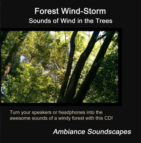 Forest Wind-Storm