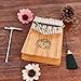 ammoon Kalimba 17 key Thumb Piano Solid Wood Finger Piano with Carry Bag Tuning Hammer AKP-17L