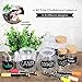 Ohuhu 19 Pack Dry Erase Markers Liquid Chalk Markers Pens with Erasable Ink and Reversible Tips, BONUS 40 Chalkboard Labels