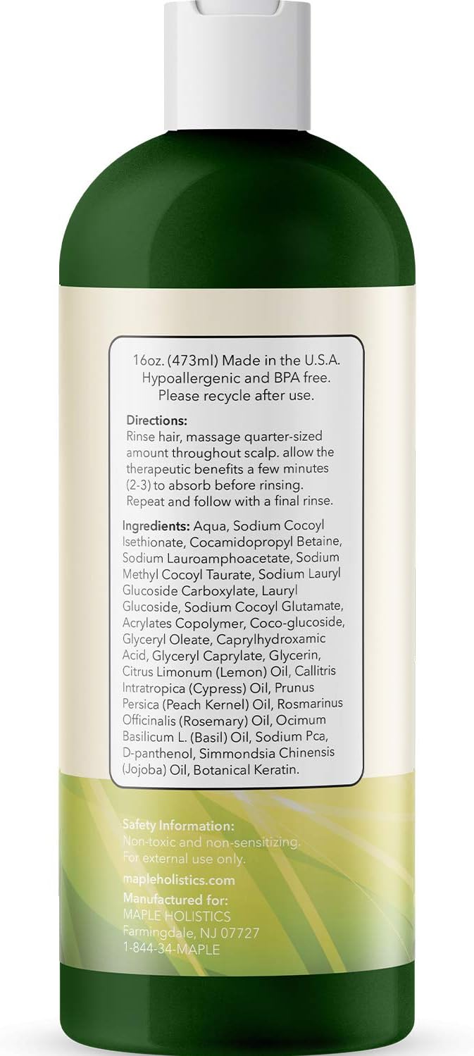 Best Shampoo for Oily Hair - Itchy Scalp Botanical Hair Loss Treatment for Men & Women - Degreaser Hair Product Sulfate Free - Clarifying Shampoo for Color Treated Hair & Natural Beauty Hair Care 16oz: Health & Personal Care