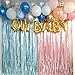 Metallic Tinsel Foil Fringe Curtains 3.2 ft x 6.6 ft Baby Shower Gender Reveals Party Decoration Party Photo Backdrop (Pink/Blue)