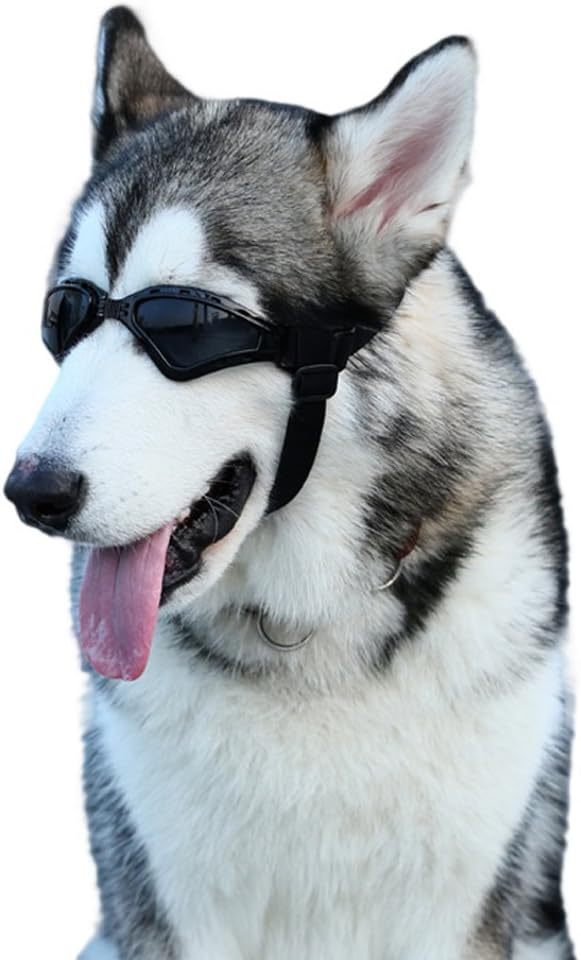 husky goggles