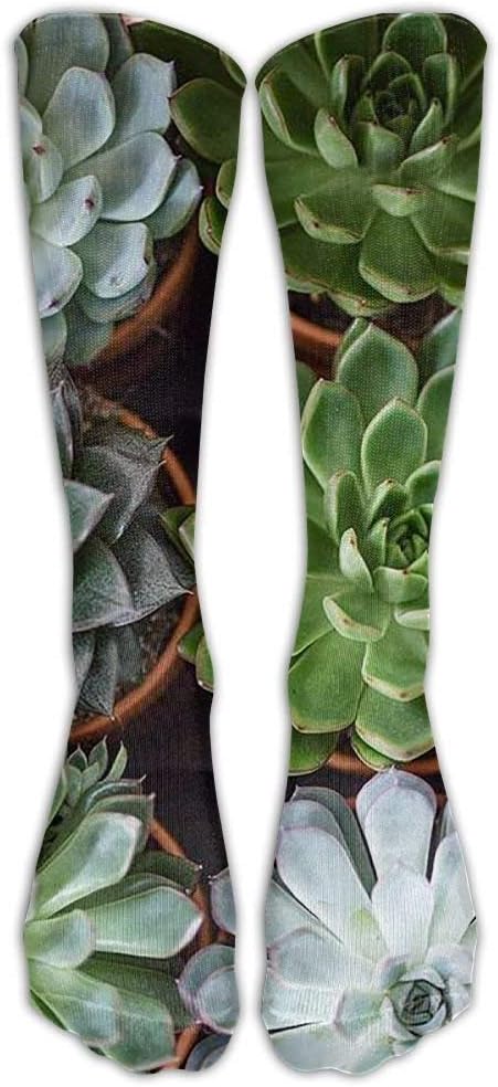 NEW Egg Egg Colorful Moth Pattern Fashion Stockings Socks Athletic Crew Socks(cb95cd08) 0 (Long 50cm）