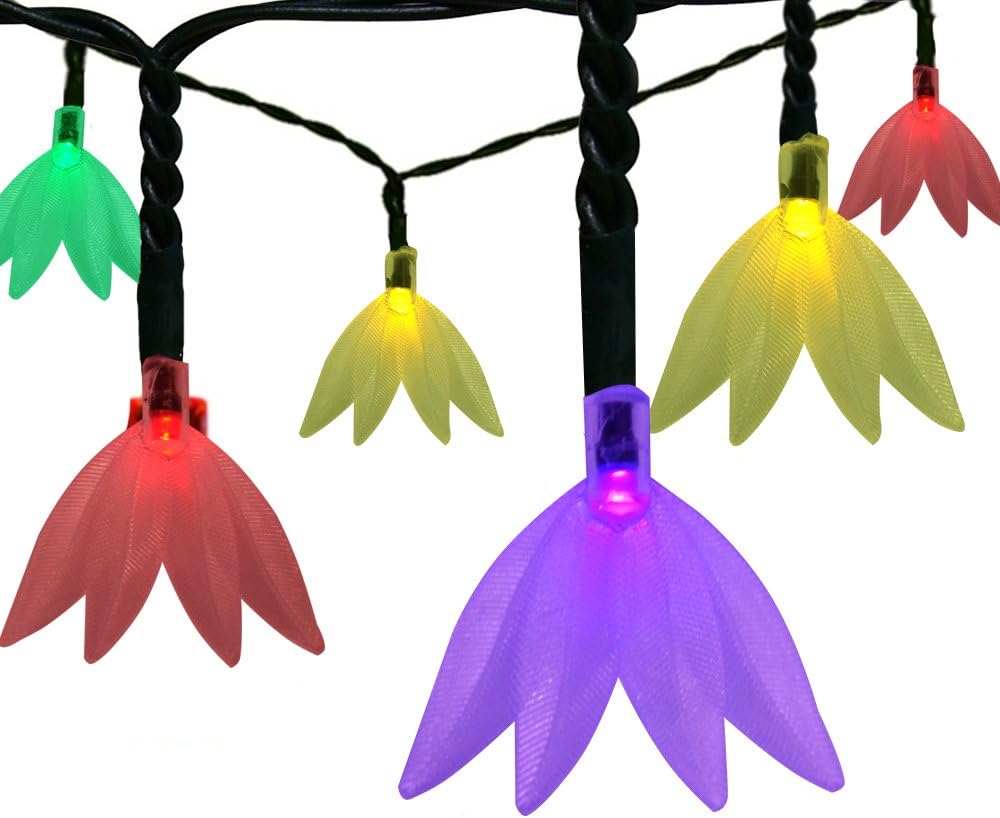 Twinkle Star 40 Photo Clips String Lights Battery Operated & Remote Control Fairy String Lights with Clips for Hanging Pictures, Cards, Artwork (Leaf Soalr String Lights)