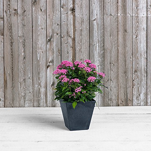 Artstone Ella Square Planter, Black, 10-Inch