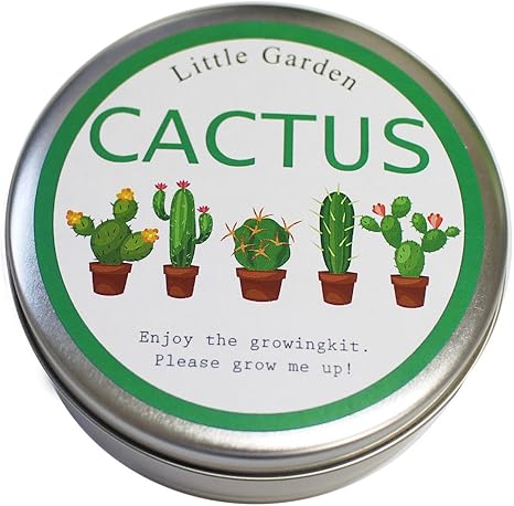 Amazon Co Jp ナガクラ リトルガーデン サボテンmix Diy 工具 ガーデン
