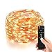 Homestarry HS-SL-010 Dimmable String Lights Pro, 240 LED's Copper Wire, with Wireless Handheld Remote Control, 12V Power Adapter, 40-Feet - Warm White