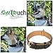 Soft Touch Collars Black Leather Dog Collar, Real Genuine Leather, Best for Large Male or Female Dogs