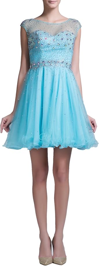 Amazon.com: AmilyShop A Line Scoop Mini Homecoming Dresses Size 16 US Blue: Clothing