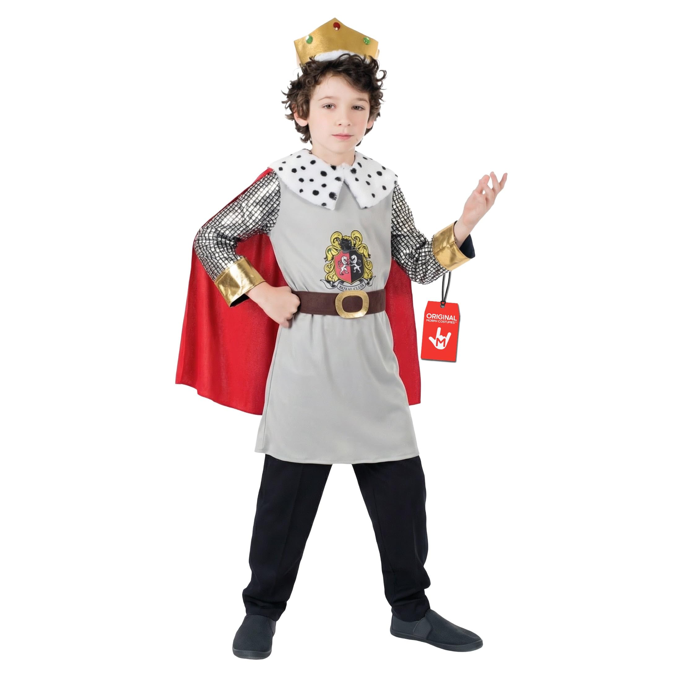 Fun Shack Medieval King Costume Kids, Royal King Costume Kids, Kings Costume Kids, Kings Costume for Kids Medium