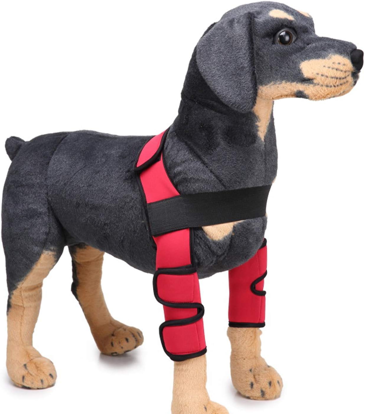 Alfie Pet Tegan Dog Front Leg Braces with Supporting