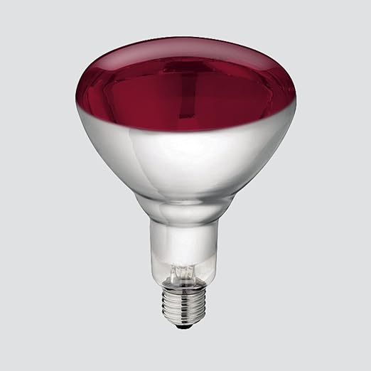 Infrarot birne Infrarot birne