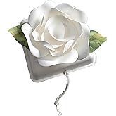 Biodegradable Urn Eco Burial Urns Biodegradable Water Urns Cremation Ocean Scattering Floating Urn for Human Ashes (M)