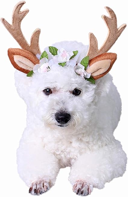 Pedomus Costume De Chat Pour Noël Tête De Noël Renne Geweih